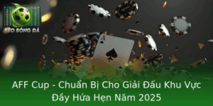 AFF Cup - Chuẩn Bị Cho Giải Đấu Khu Vực Đầy Hứa Hẹn Năm 2025 7 Aff Cup Chuan Bi Cho Giai Au Khu Vuc Ay Hua Hen Nam 2025