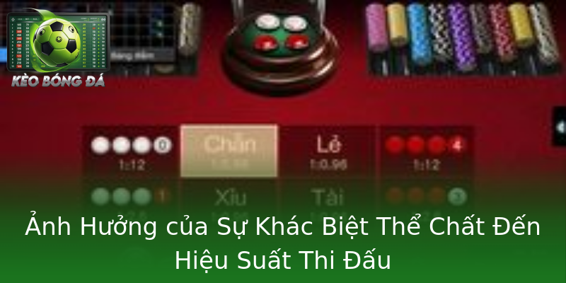 Ảnh Hưởng của Sự Khác Biệt Thể Chất Đến Hiệu Suất Thi Đấu Ảnh Hưởng của Sự Khác Biệt Thể Chất Đến Hiệu Suất Thi Đấu