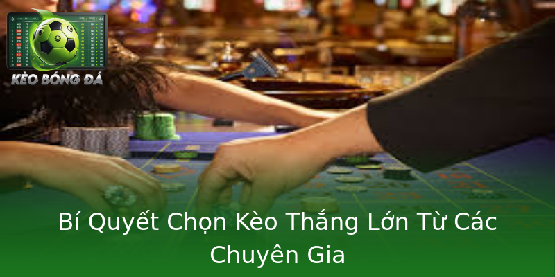 Bí Quyết Chọn Kèo Thắng Lớn Từ Các Chuyên Gia Bí Quyết Chọn Kèo Thắng Lớn Từ Các Chuyên Gia