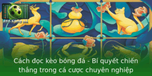 Cách Đọc Kèo Bóng Đá 2025 - Cá Cược Thắng Lớn 7 Cach Oc Keo Bong A Bi Quyet Chien Thang Trong Ca Cuoc Chuyen Nghiep
