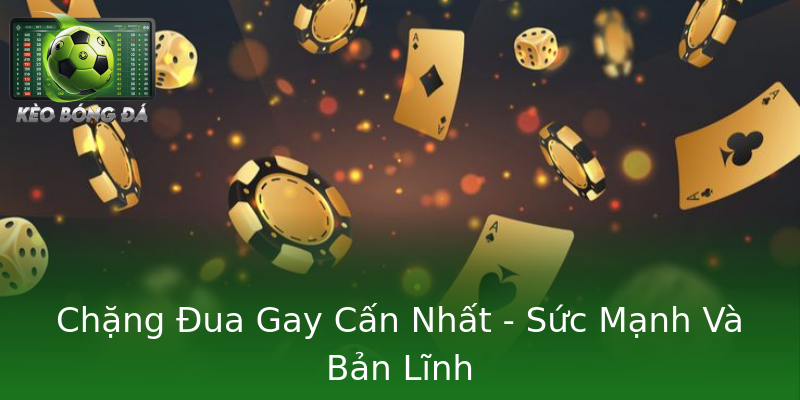 Chặng Đua Gay Cấn Nhất - Sức Mạnh Và Bản Lĩnh Chặng Đua Gay Cấn Nhất - Sức Mạnh Và Bản Lĩnh
