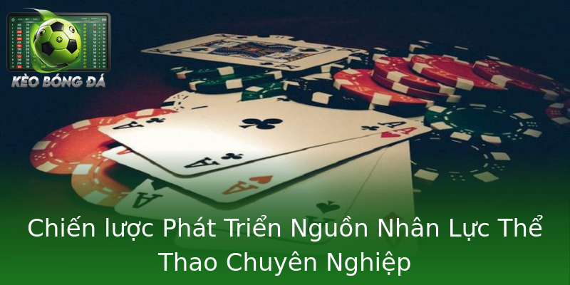 Chiến lược Phát Triển Nguồn Nhân Lực Thể Thao Chuyên Nghiệp Chiến lược Phát Triển Nguồn Nhân Lực Thể Thao Chuyên Nghiệp