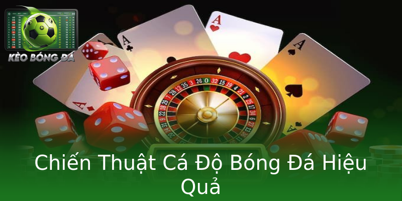 Chiến Thuật Cá Độ Bóng Đá Hiệu Quả Chiến Thuật Cá Độ Bóng Đá Hiệu Quả