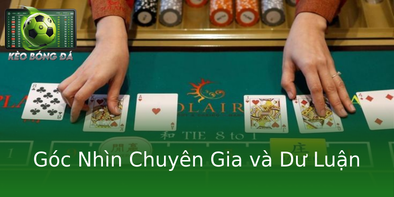 Góc Nhìn Chuyên Gia và Dư Luận Góc Nhìn Chuyên Gia và Dư Luận