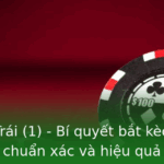 Kèo Một Trái (1) - Bí Quyết Bắt Kèo Chuẩn Xác 2 Keo Mot Trai 1 Bi Quyet Bat Keo Bong A Chuan Xac Va Hieu Qua