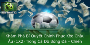 Kèo Châu Âu (1X2) - Bí Quyết Chinh Phục Hiệu Quả 8 Kham Pha Bi Quyet Chinh Phuc Keo Chau Au 1X2 Trong Ca O Bong A Chien Thuat Du Nguoi Moi Van Co The T