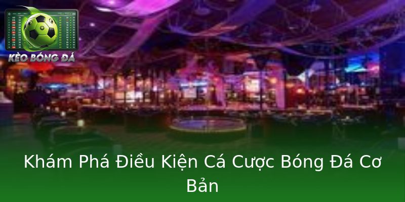 Khám Phá Điều Kiện Cá Cược Bóng Đá Cơ Bản Khám Phá Điều Kiện Cá Cược Bóng Đá Cơ Bản