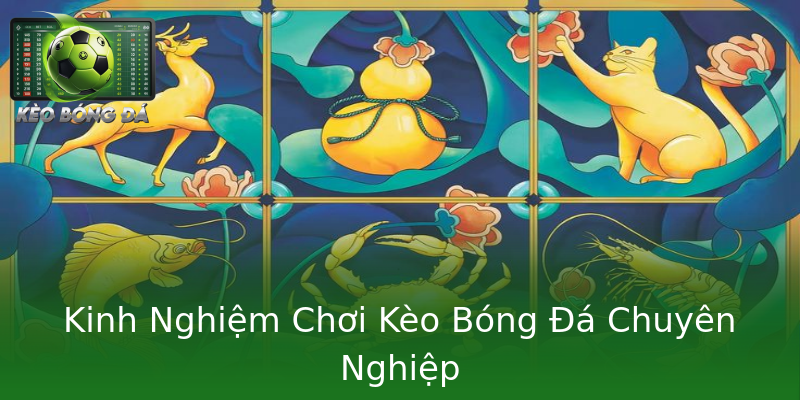 Kinh Nghiệm Chơi Kèo Bóng Đá Chuyên Nghiệp Kinh Nghiệm Chơi Kèo Bóng Đá Chuyên Nghiệp