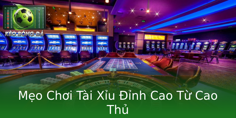 Mẹo Chơi Tài Xỉu Đỉnh Cao Từ Cao Thủ Mẹo Chơi Tài Xỉu Đỉnh Cao Từ Cao Thủ