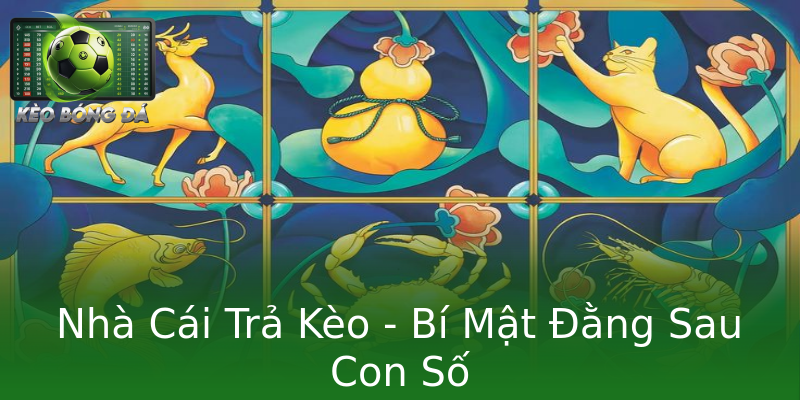 Nhà Cái Trả Kèo - Bí Mật Đằng Sau Con Số Nhà Cái Trả Kèo - Bí Mật Đằng Sau Con Số