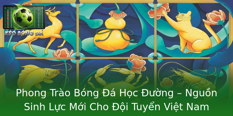 Phong Trào Bóng Đá Học Đường – Nguồn Sinh Lực Mới Cho Đội Tuyển Việt Nam Phong Trào Bóng Đá Học Đường – Nguồn Sinh Lực Mới Cho Đội Tuyển Việt Nam