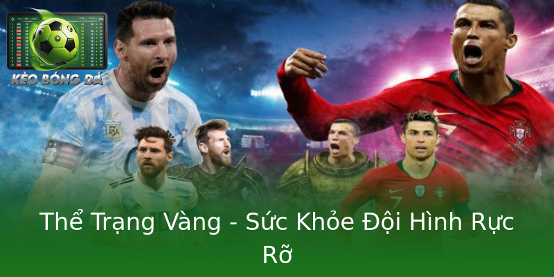 Thể Trạng Vàng - Sức Khỏe Đội Hình Rực Rỡ Thể Trạng Vàng - Sức Khỏe Đội Hình Rực Rỡ