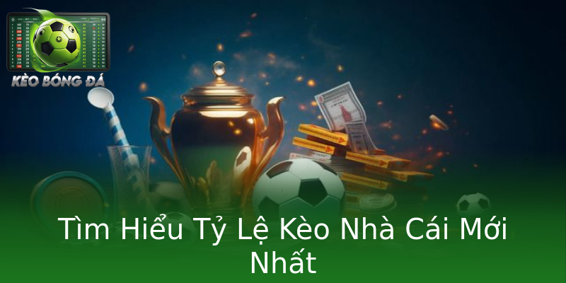 Tìm Hiểu Tỷ Lệ Kèo Nhà Cái Mới Nhất Tìm Hiểu Tỷ Lệ Kèo Nhà Cái Mới Nhất
