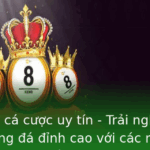 Top App Cá Cược Uy Tín 2025 - Kèo Bóng Đá Đỉnh Cao 2 Top App Ca Cuoc Uy Tin Trai Nghiem Ca Cuoc Bong A Inh Cao Voi Cac Nen Tang Hang Au Nam 2025