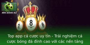 Top App Cá Cược Uy Tín 2025 - Kèo Bóng Đá Đỉnh Cao 8 Top App Ca Cuoc Uy Tin Trai Nghiem Ca Cuoc Bong A Inh Cao Voi Cac Nen Tang Hang Au Nam 2025