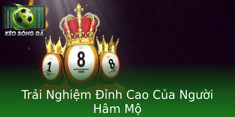 Trải Nghiệm Đỉnh Cao Của Người Hâm Mộ Trải Nghiệm Đỉnh Cao Của Người Hâm Mộ