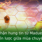 Arsenal nhận hung tin từ Madueke - Bước ngoặt chiến lược giữa mùa chuyển nhượng 2025 2 Arsenal Nhan Hung Tin Tu Madueke Buoc Ngoat Chien Luoc Giua Mua Chuyen Nhuong 2025