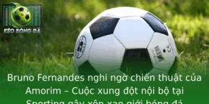 Bruno Fernandes nghi ngờ chiến thuật của Amorim – Cuộc xung đột nội bộ tại Sporting gây xôn xao giới bóng đá 6 Bruno Fernandes Nghi Ngo Chien Thuat Cua Amorim Cuoc Xung Ot Noi Bo Tai Sporting Gay Xon Xao Gioi Bo