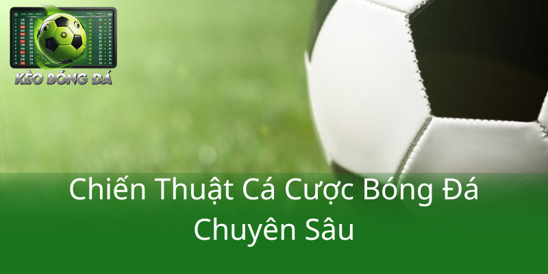 Kèo Handicap Hà Lan vs Ba Lan - Trận Đấu Đầy Căng Thẳng và Những Dự Đoán Chính Xác Sắp Tới 2 Chien Thuat Ca Cuoc Bong Da Chuyen Sau