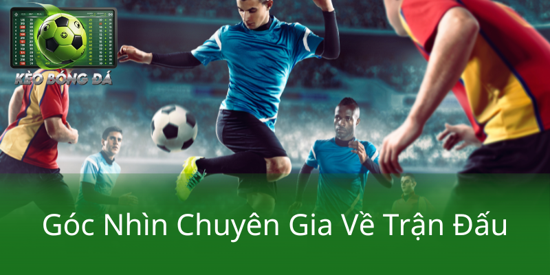 Kèo Handicap Hà Lan vs Ba Lan - Trận Đấu Đầy Căng Thẳng và Những Dự Đoán Chính Xác Sắp Tới 4 Goc Nhin Chuyen Gia Ve Tran Dau