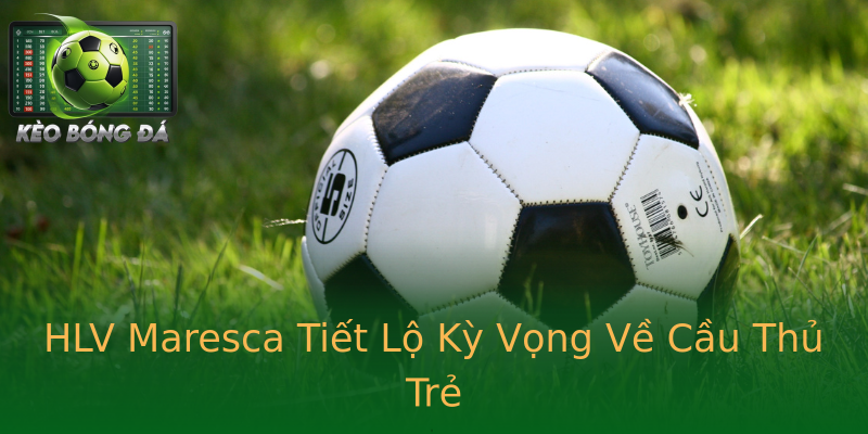 HLV Maresca Tiết Lộ Kỳ Vọng Về Cầu Thủ Trẻ HLV Maresca Tiết Lộ Kỳ Vọng Về Cầu Thủ Trẻ