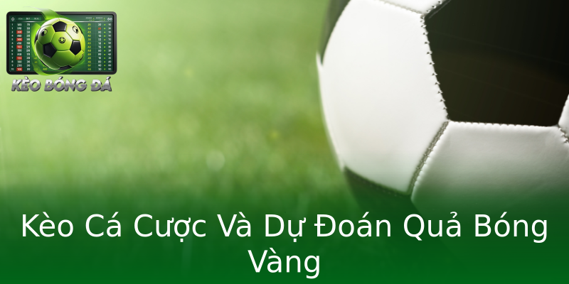 Kèo Cá Cược Và Dự Đoán Quả Bóng Vàng Kèo Cá Cược Và Dự Đoán Quả Bóng Vàng