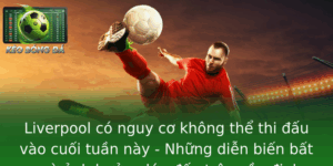 Liverpool có nguy cơ không thể thi đấu vào cuối tuần này - Những diễn biến bất ngờ ảnh hưởng lớn đến trận cầu đinh 7 Liverpool Co Nguy Co Khong The Thi Au Vao Cuoi Tuan Nay Nhung Dien Bien Bat Ngo Anh Huong Lon En Tra 1