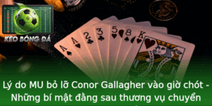 Lý do MU bỏ lỡ Conor Gallagher vào giờ chót - Những bí mật đằng sau thương vụ chuyển nhượng gây sốc 7 Ly Do Mu Bo Lo Conor Gallagher Vao Gio Chot Nhung Bi Mat Ang Sau Thuong Vu Chuyen Nhuong Gay Soc