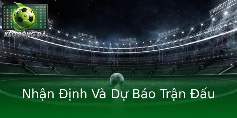 Nhận Định Và Dự Báo Trận Đấu Nhận Định Và Dự Báo Trận Đấu