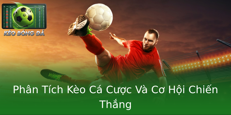 Phân Tích Kèo Cá Cược Và Cơ Hội Chiến Thắng Phân Tích Kèo Cá Cược Và Cơ Hội Chiến Thắng