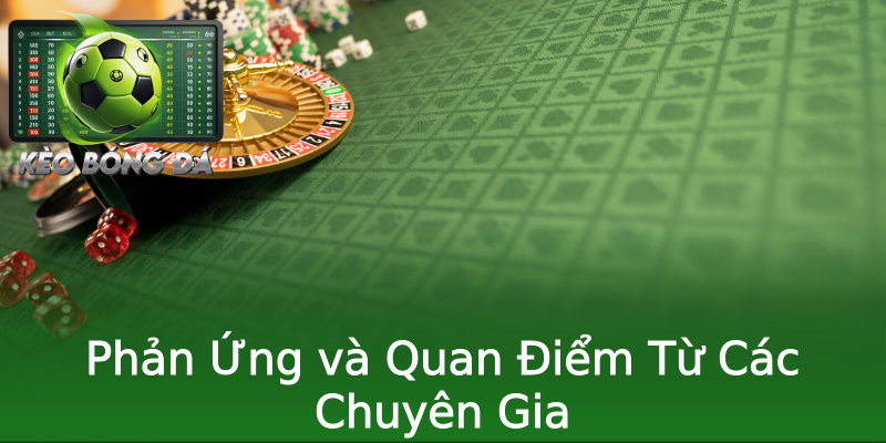 Phản Ứng và Quan Điểm Từ Các Chuyên Gia Phản Ứng và Quan Điểm Từ Các Chuyên Gia