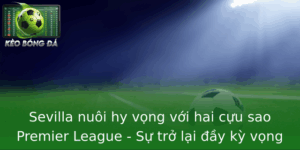 Sevilla nuôi hy vọng với hai cựu sao Premier League - Sự trở lại đầy kỳ vọng tại La Liga 1 Sevilla Nuoi Hy Vong Voi Hai Cuu Sao Premier League Su Tro Lai Ay Ky Vong Tai La Liga