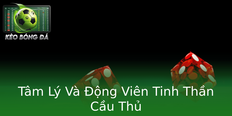Tâm Lý Và Động Viên Tinh Thần Cầu Thủ Tâm Lý Và Động Viên Tinh Thần Cầu Thủ