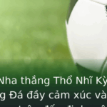 Tây Ban Nha thắng Thổ Nhĩ Kỳ khó tin - Kèo Bóng Đá đầy cảm xúc và bất ngờ trong trận đấu định mệnh 2 Tay Ban Nha Thang Tho Nhi Ky Kho Tin Keo Bong A Ay Cam Xuc Va Bat Ngo Trong Tran Au Inh Menh