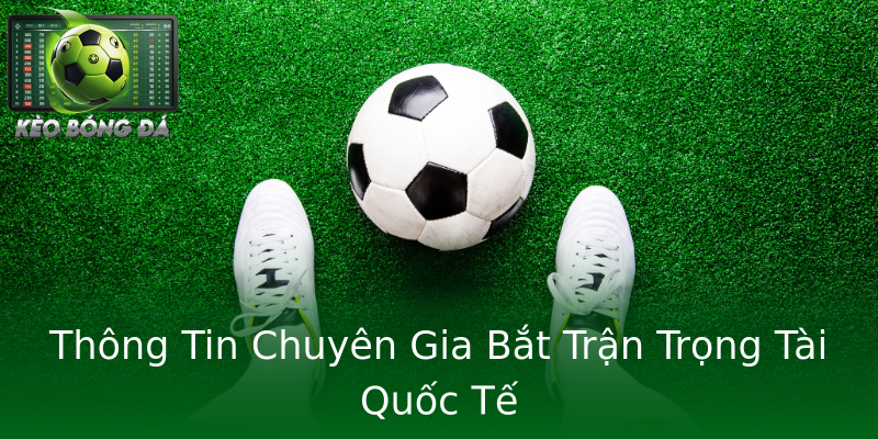 Thông Tin Chuyên Gia Bắt Trận Trọng Tài Quốc Tế Thông Tin Chuyên Gia Bắt Trận Trọng Tài Quốc Tế