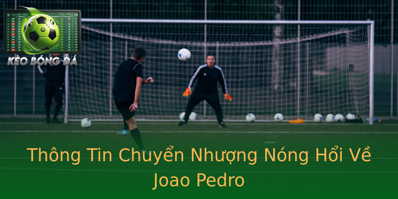 Thông Tin Chuyển Nhượng Nóng Hổi Về Joao Pedro Thông Tin Chuyển Nhượng Nóng Hổi Về Joao Pedro