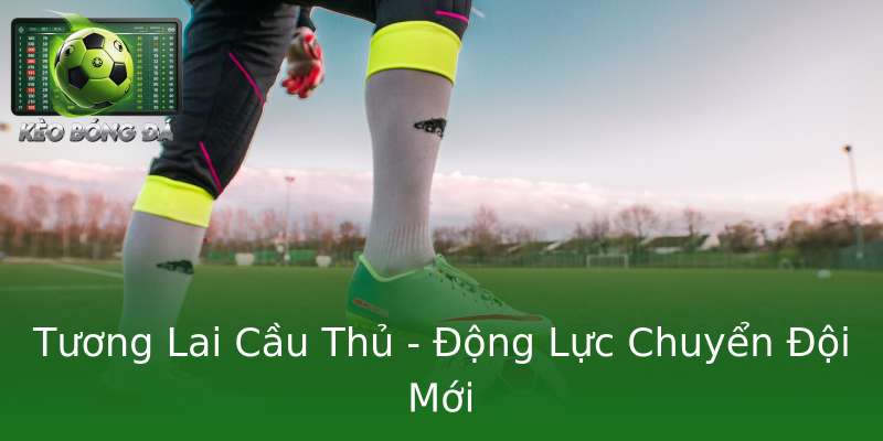 Tương Lai Cầu Thủ - Động Lực Chuyển Đội Mới Tương Lai Cầu Thủ - Động Lực Chuyển Đội Mới