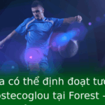 Chelsea Co The Inh Oat Tuong Lai Cua Postecoglou Tai Forest Cuoc Chien Chuyen Nhuong Va Tuong Lai Ch