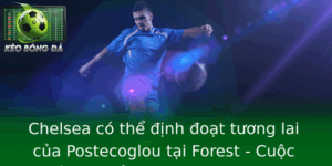 Chelsea có thể định đoạt tương lai của Postecoglou tại Forest - Cuộc chiến chuyển nhượng và tương lai chiến lược của The Blues và đội bóng rừng xanh 3 Chelsea Co The Inh Oat Tuong Lai Cua Postecoglou Tai Forest Cuoc Chien Chuyen Nhuong Va Tuong Lai Ch