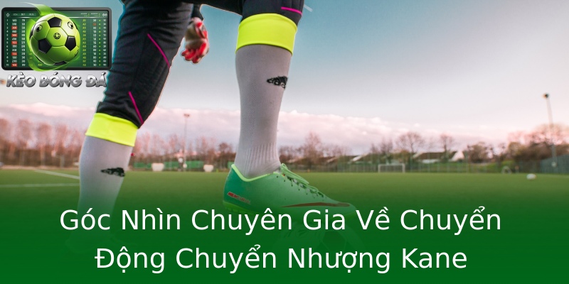 Góc Nhìn Chuyên Gia Về Chuyển Động Chuyển Nhượng Kane Góc Nhìn Chuyên Gia Về Chuyển Động Chuyển Nhượng Kane
