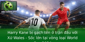 Harry Kane bị gạch tên ở trận đấu với Xứ Wales - Sốc lớn tại vòng loại World Cup 2024 9 Harry Kane Bi Gach Ten O Tran Au Voi Xu Wales Soc Lon Tai Vong Loai World Cup 2024