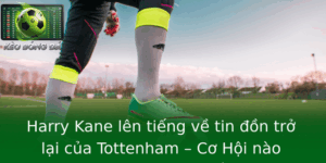 Harry Kane lên tiếng về tin đồn trở lại của Tottenham – Cơ Hội nào đang chờ đợi “Gà Trống”? 6 Harry Kane Len Tieng Ve Tin On Tro Lai Cua Tottenham Co Hoi Nao Ang Cho Oi Ga Trong