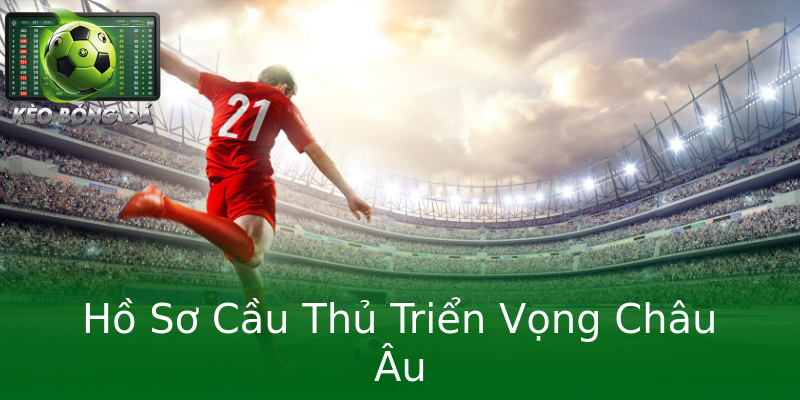 Hồ Sơ Cầu Thủ Triển Vọng Châu Âu Hồ Sơ Cầu Thủ Triển Vọng Châu Âu