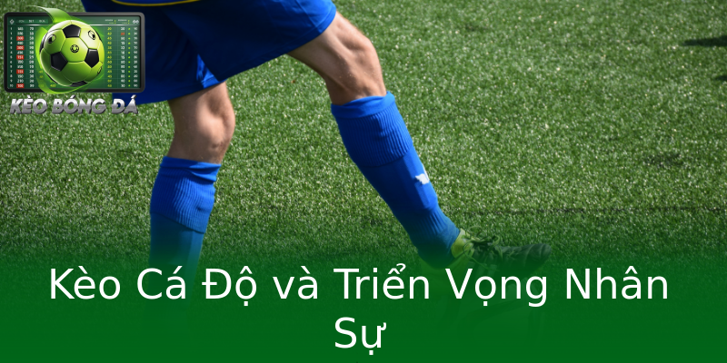 Kèo Cá Độ và Triển Vọng Nhân Sự Kèo Cá Độ và Triển Vọng Nhân Sự