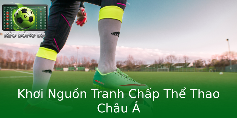 Khơi Nguồn Tranh Chấp Thể Thao Châu Á Khơi Nguồn Tranh Chấp Thể Thao Châu Á
