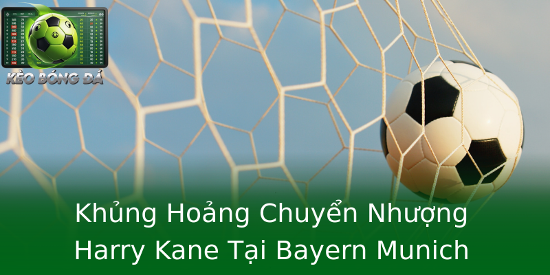 Khủng Hoảng Chuyển Nhượng Harry Kane Tại Bayern Munich Khủng Hoảng Chuyển Nhượng Harry Kane Tại Bayern Munich