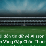 Liverpool đón tin dữ về Alisson Becker - Thủ Môn Vàng Gặp Chấn Thương Nặng Khiến Mục Tiêu Vừa Khó Vàng Vàng 2 Liverpool On Tin Du Ve Alisson Becker Thu Mon Vang Gap Chan Thuong Nang Khien Muc Tieu Vua Kho Vang