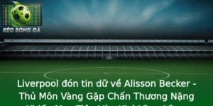Liverpool đón tin dữ về Alisson Becker - Thủ Môn Vàng Gặp Chấn Thương Nặng Khiến Mục Tiêu Vừa Khó Vàng Vàng 5 Liverpool On Tin Du Ve Alisson Becker Thu Mon Vang Gap Chan Thuong Nang Khien Muc Tieu Vua Kho Vang