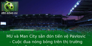MU và Man City săn đón tiền vệ Pavlovic - Cuộc đua nóng bỏng trên thị trường chuyển nhượng Premier League 8 Mu Va Man City San On Tien Ve Pavlovic Cuoc Ua Nong Bong Tren Thi Truong Chuyen Nhuong Premier Leagu 1