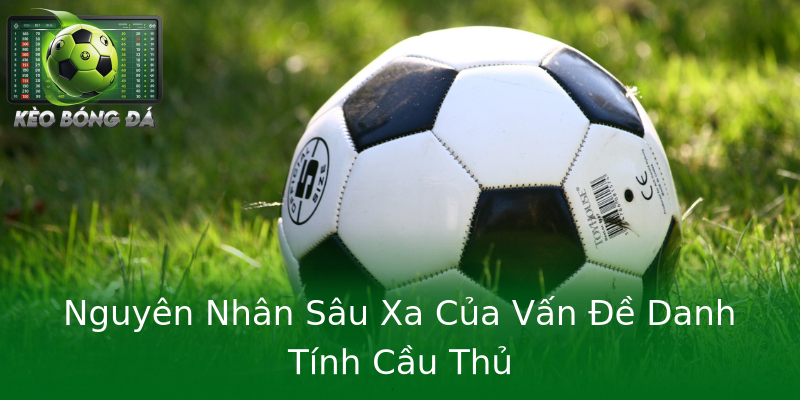 Nguyên Nhân Sâu Xa Của Vấn Đề Danh Tính Cầu Thủ Nguyên Nhân Sâu Xa Của Vấn Đề Danh Tính Cầu Thủ
